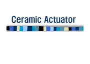 ceramic actuator