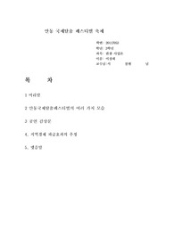 안동 국제탈춤 페스티벌 축제