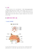 부비동염 & AGE (소아과병동) 케이스 스터디