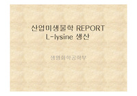 필수아미노산인 라이신 조사레포트