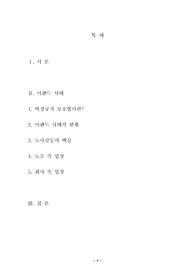 이랜드 사태에 관한 고찰