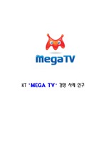 KT‘MEGA TV’경영 사례 연구