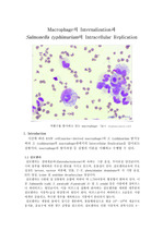 Macrophage의 Internalization과  Salmonella typhimurium의 Intracellular Replication