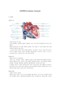 순환계