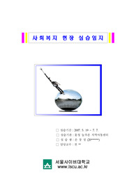 [강추자료] 사회복지 현장실습 보고서(실습일지, 기관보고서, 종결평가서, 실습과제물)