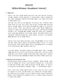 와이브로[WiBro/Wireless Broadband Internet]의 개념 및 동향과 향후 발전방향