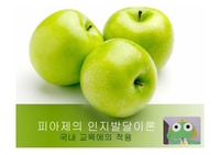 피아제(Piaget)의 인지발달이론, 국내교육에의 적용