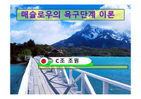 매슬로우의 욕구단계 이론