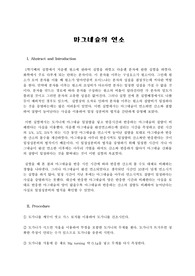 마그네슘의 연소