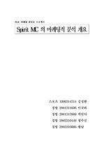 스피릿mc 마케팅 분석