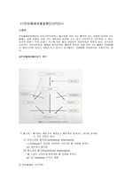 만성폐쇄성폐질환 COPD