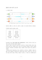 MBTI 결과 분석 보고서