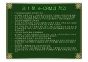 [인터넷마케팅] e-crm