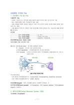 신경계의 구조와 기능(성인간호학)