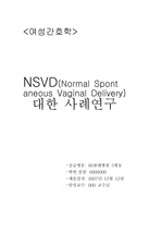 NSVD에 대한 사례연구