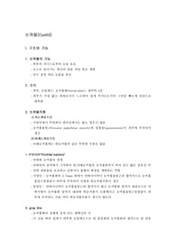눈꺼풀