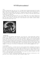 [성인간호학 SICU] 뇌수종(hydrocephalus) 질병보고서 및 간호진단