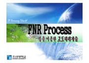 FNR Process (하.폐수처리기술)