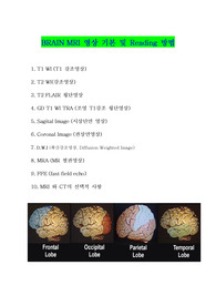MRI brain 영상 기본 및 Reading 방법