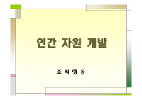 인간자원론(조직행동)