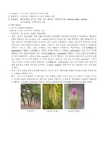 [식물분류]소나무_은행나무과 예비 리포트