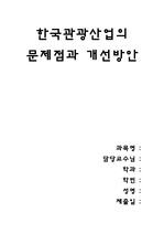 한국관광산업의 문제점 및 개선방안