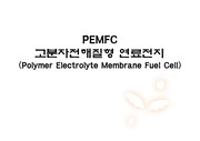 PEMFC고분자전해질형 연료전지(Polymer Electrolyte Membrane Fuel Cell)