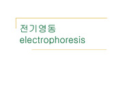 전기영동  electrophoresis