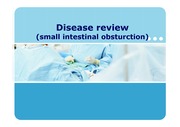 장 폐색 ( small intestinal obstruction), 장마비 ( ileus)