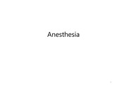 [소아치과] 마취법 anesthesia