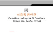 식중독 (Cl.perfringens, Cl. botulinum, Yersinia spp, Bacillus cereus)