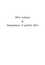 DNA isolation and manipulation of purified DNA