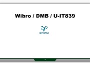 와이브로 (Wibro) / 디지털 멀티미디어 방송 (DMB) / U-IT839