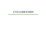시클로덱스트린 cyclodextrin