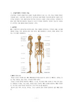 근골격계 해부생리 및 건강사정