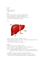 간,담도의 구조와 기능