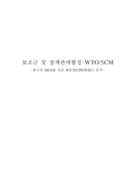 한국산 DRAM 사건 WT/DS299/R(EC) 분석