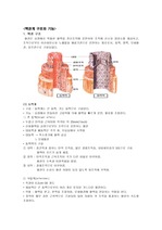 맥관계 구조와 기능