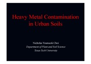 도시 토양의 중금속 오염에 관하여..(Heavy Metal Contamination in Urban Soil)