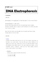 분자생물학 report-DNA Electrophoresis