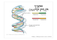 인간복제와 DNA조작의 윤리적 문제,생명공학,아일랜드,DNA복제,클론