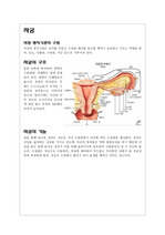 자궁근종 문헌고찰 간호학