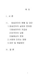 방송언어의 문제점