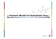 polymeic micelle for hydrophobic drug