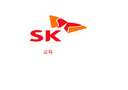 [마케팅] SK의 교육훈련제도
