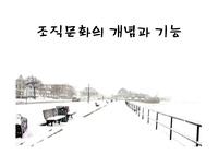 조직문화의 개념과 기능