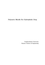 난용성 약물을 위한 Polymeric Micelle Drug Delivery System(DDS)