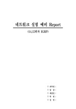 네트워크 실험 예비 Report (14,15회차 IGRP)