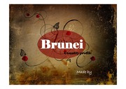 Brunei (부르나이 공화국) 나라분석