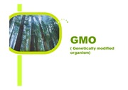 GMO 유전자 변형식품의 장점에 대한 영문 ppt